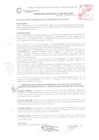 Vista preliminar de documento ORDENANZA MUNICIPAL N° 039-2013/MPS