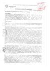 Vista preliminar de documento ORDENANZA MUNICIPAL N° 040-2013/MPS
