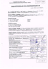 Vista preliminar de documento R.D. Nº 372.pdf