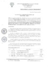 Vista preliminar de documento RA-N-009-2020-MDSA