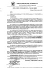 Vista preliminar de documento RG_542-2021.pdf