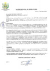 Vista preliminar de documento ACUERDO-MUNICIPAL-N-128-2020-CM-MPA.pdf