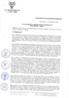 Vista preliminar de documento RA-N-054-2019-MDSA