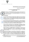 Vista preliminar de documento RA-N-044-2019-MDSA