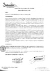 Vista preliminar de documento R.A. Nº300.pdf