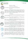 Vista preliminar de documento ORDENANZA Nº 336/2016/MSJM