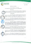 Vista preliminar de documento ORDENANZA Nº 334/2016/MSJM