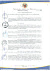 Vista preliminar de documento ORDENANZA Nº 317/2016/MSJM