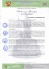 Vista preliminar de documento Ordenanza Municipa N° 011-MPVH.pdf