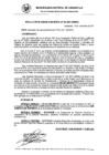 Vista preliminar de documento RG_541-2021.pdf