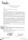 Vista preliminar de documento R.A. Nº331.pdf