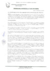 Vista preliminar de documento ORDENANZA MUNICIPAL N° 003-2019/MPS