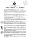 Vista preliminar de documento 506-2017