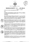 Vista preliminar de documento 802-2017