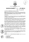 Vista preliminar de documento 911-2017