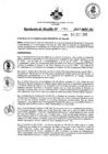 Vista preliminar de documento 1061-2017
