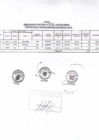 Vista preliminar de documento Anexo