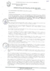 Vista preliminar de documento ORDENANZA MUNICIPAL N° 003-2021/MPS