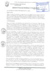 Vista preliminar de documento ORDENANZA MUNICIPAL N° 016-2021/MPS