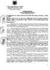 Vista preliminar de documento Acuerdo Directivo