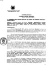 Vista preliminar de documento Acuerdo Directivo