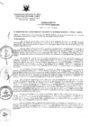 Vista preliminar de documento Acuerdo Directivo