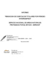 Vista preliminar de documento INFORME_RENDICION_CUENTA_01.01.2021-05.11.2021.pdf