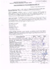Vista preliminar de documento R.D. Nº 455.pdf