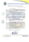 Vista preliminar de documento resolucion009_2019.pdf