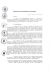 Vista preliminar de documento resolucion020_2019.pdf