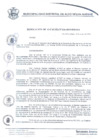 Vista preliminar de documento resolucion116_2019.pdf