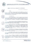 Vista preliminar de documento resolucion217_2019.pdf