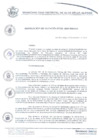 Vista preliminar de documento resolucion232_2019.pdf