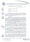 Vista preliminar de documento ordenanza489_2019.pdf
