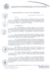 Vista preliminar de documento resolucion229_2019.pdf