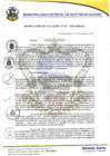 Vista preliminar de documento resolucion273_2019.pdf
