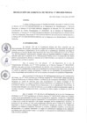 Vista preliminar de documento r_gerencia005_2020.pdf