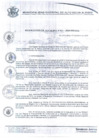 Vista preliminar de documento resolucion011_2020.pdf
