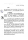 Vista preliminar de documento r_gerencia004_2020.pdf