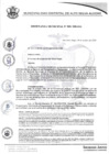 Vista preliminar de documento ordenanza509_2020.pdf