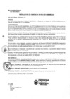 Vista preliminar de documento r_gerencia005_2019.pdf