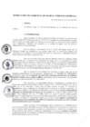 Vista preliminar de documento r_gerencia028_2019.pdf