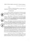 Vista preliminar de documento r_gerencia038_2019.pdf