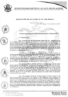 Vista preliminar de documento resolucion133_2020.pdf