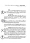 Vista preliminar de documento r_gerencia090_2019.pdf