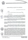Vista preliminar de documento resolucion183_2020.pdf