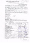 Vista preliminar de documento R.D. Nº 461.pdf