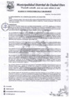 Vista preliminar de documento A.C-N°096-2020-MDCE