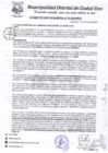 Vista preliminar de documento A.C-N°101-2020-MDCE