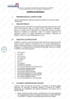 Vista preliminar de documento Servicio Especializado en Gestión de Servicios de Salud y / o Servicios de Salud Ocupacional